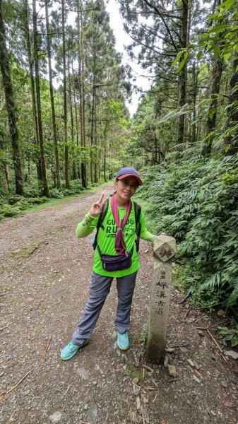 113.06.22坪溪古道-石坑山之旅2533774