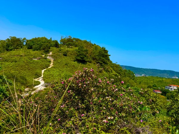 北投走軍艦岩丹鳳山出新北投3057078