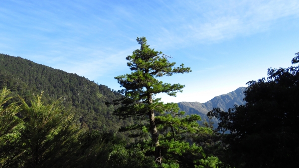 超越自我奇萊南華行24209