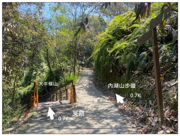 大牛條山．內湖山步道2768453