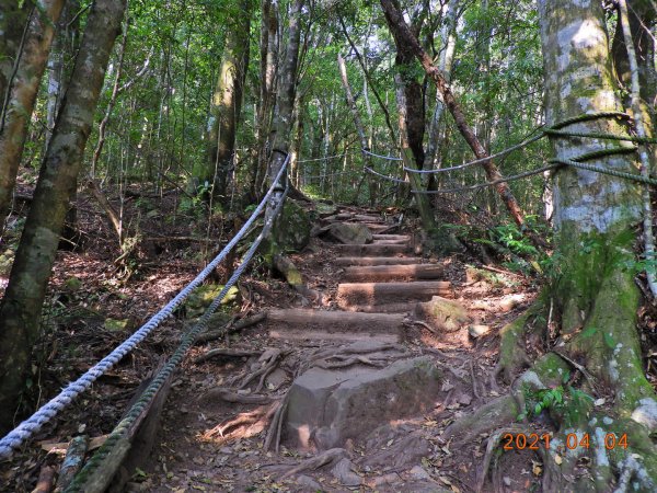 高雄 桃源 中之關步道1334930