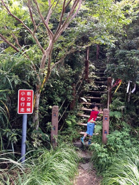 獅仔頭山隘勇線登山步道 小百岳No.20398281