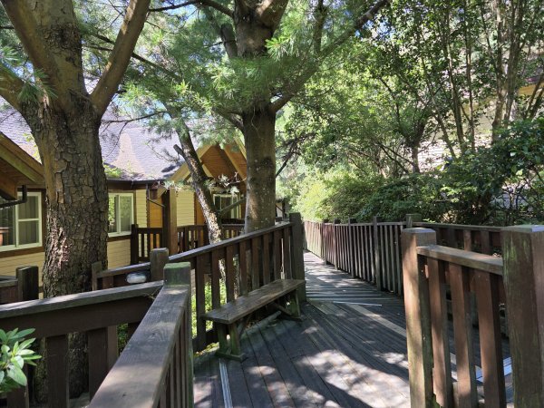 [皮皮獅探險隊-09/10] 2025_0816 野馬瞰山步道2862665