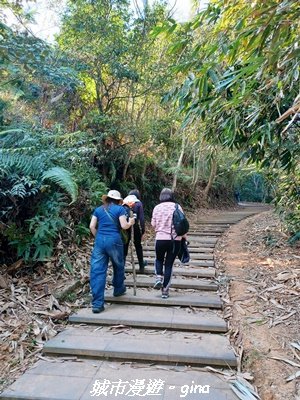 【南投埔里】天旨宮鰲頭山步道x虎頭山鯉魚潭步道x虎頭山觀景平台連走2988500