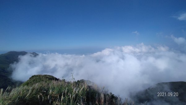 久違了 ! 陽明山再見雲海&觀音圈+夕陽&中秋月圓1463879