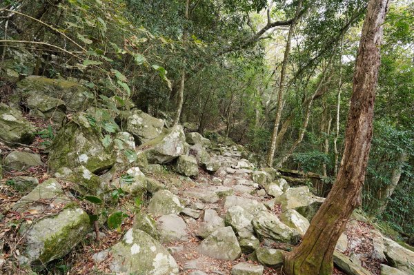 台中 和平 東卯山2674495