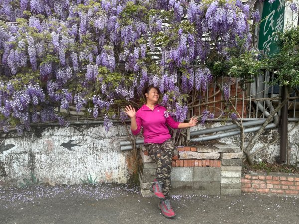 月眉山、海鼠山、生毛樹山、野薑花步道、進學古道3020769