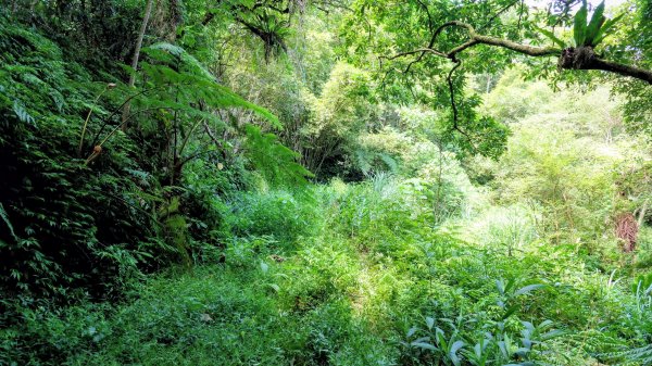 梅竹蹊山,麻竹坑山,苕谷瀑布,蝙蝠山2883320