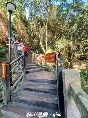 【台中北屯】大坑9-1x9號步道小O繞2945938