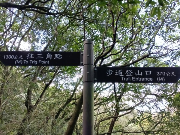 姜子寮山步道2734824