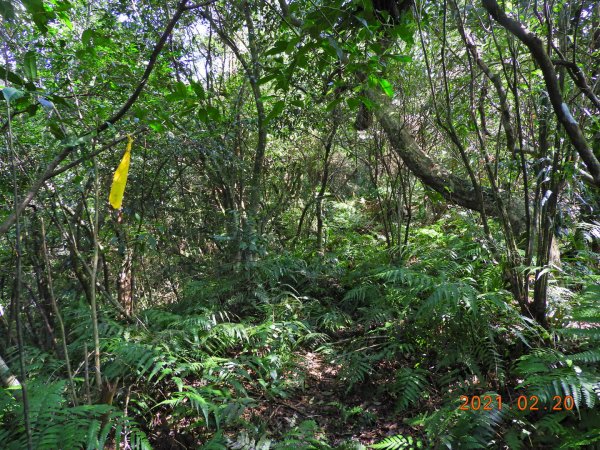 宜蘭 頭城 窖寮山(未竟)1278629