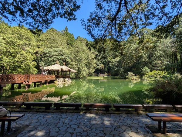 二訪阿里山國家森林遊樂區之大塔山對高岳之旅2991649