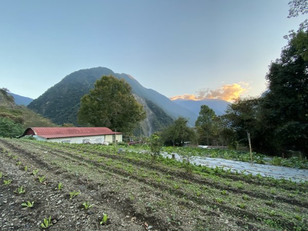 2020-11-28.29 東埔上郡大山下開高山1559146