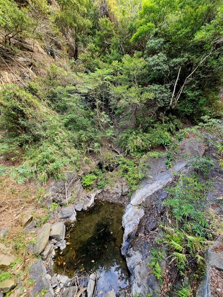 小百岳集起來-里龍山2184732