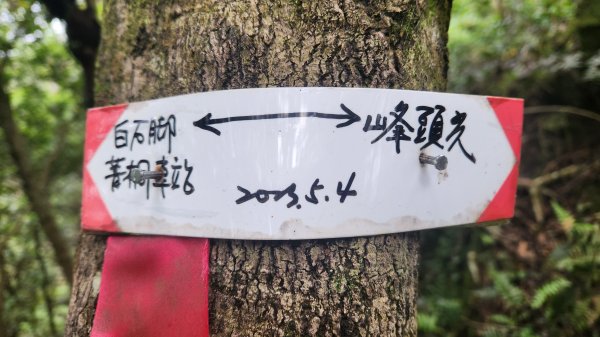 峰頭尖~峰頭尖東峰2761343