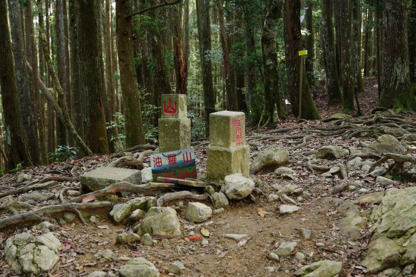 新竹 五峰 油羅山、霞山2798245