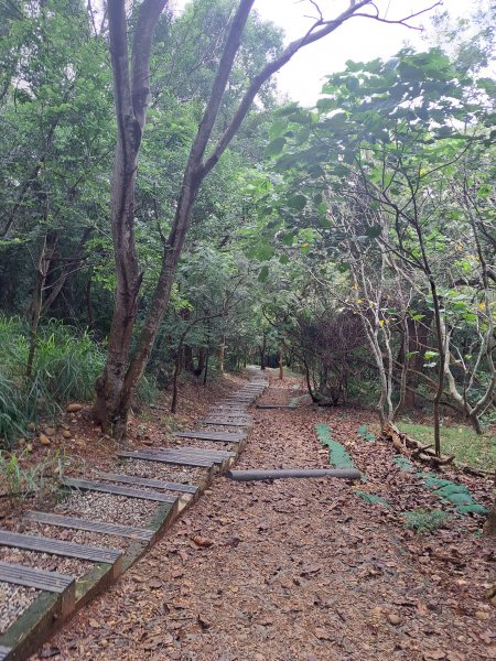 大肚環保公園登山步道202309102293384