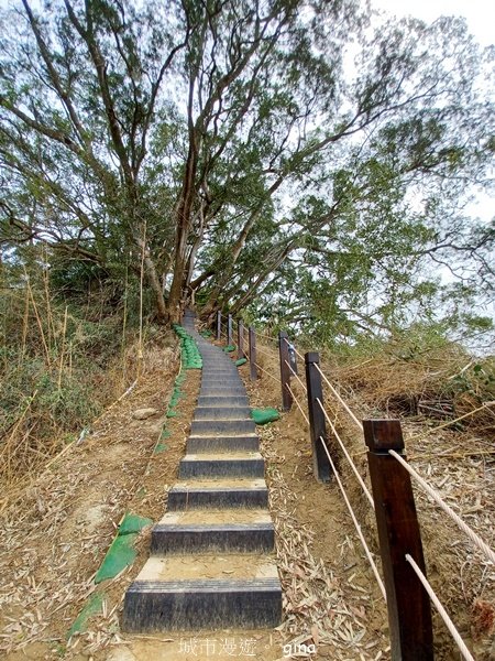 【台中豐原】平易近人。 豐原萬里長城登山步道x寮水山2517557