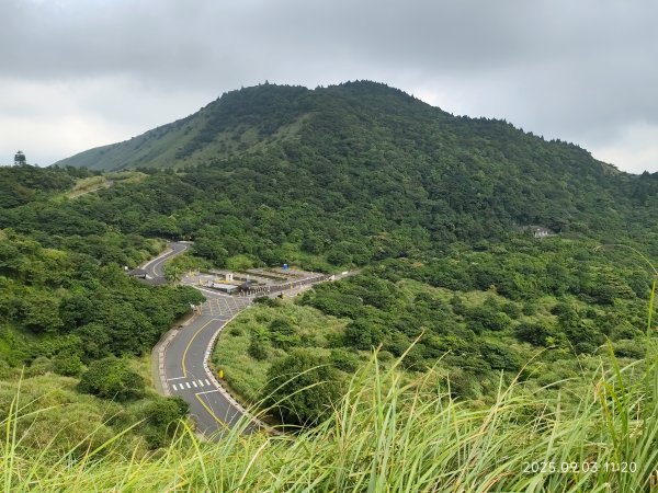 【臺北大縱走 2、3、4】冷水坑→七星山主東峰步道→冷擎步道→小油坑→鵝尾山→內湖許願步道2878888