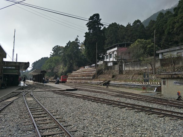 2019 02 26 奮起湖大凍山步道534694