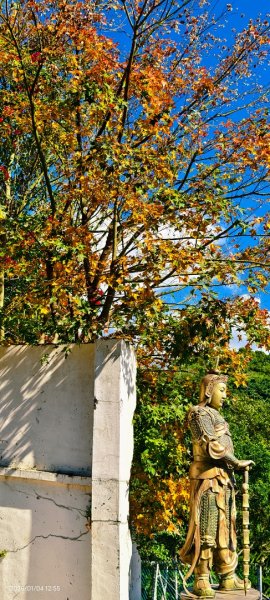 #花卉試驗中心 #永公路500巷 #平菁街42巷 #原住民公園 #士林官邸 1/42976525