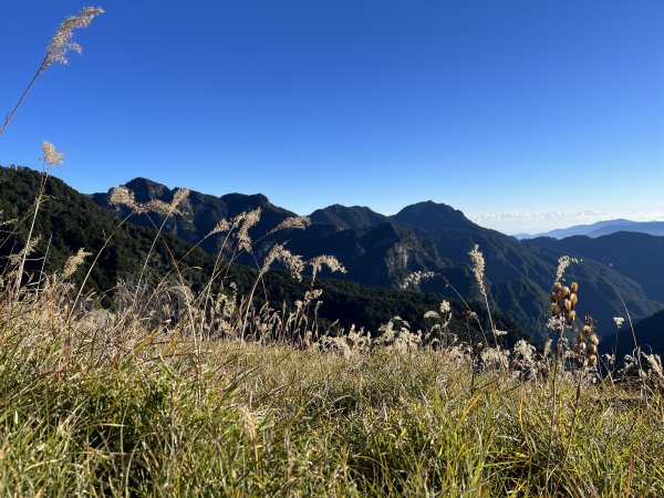 雪山西稜 2023_1103(D2) 雪山主峰2341584