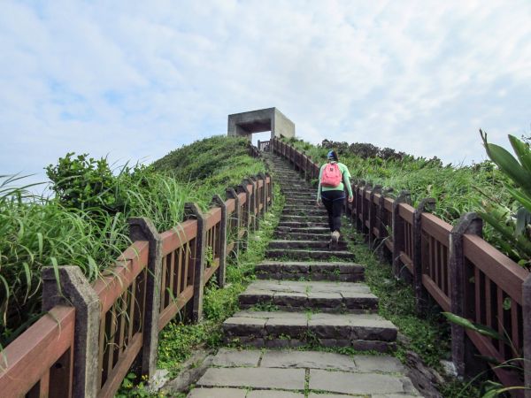 忘憂谷百合花開396567