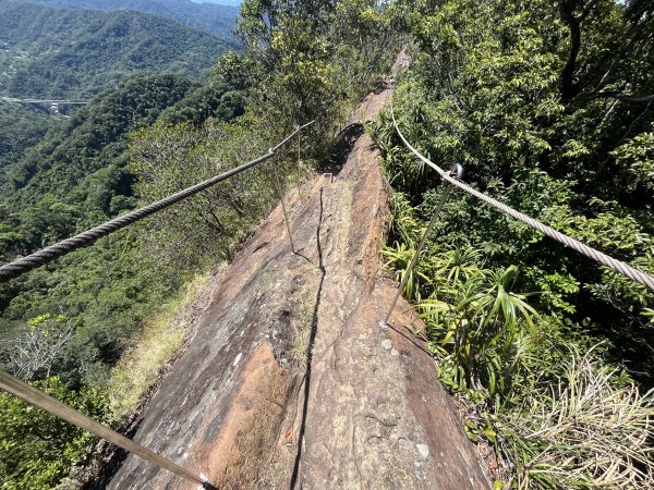 [微笑山線_第九段] 2025_0914 二格山系_天王峰2889617