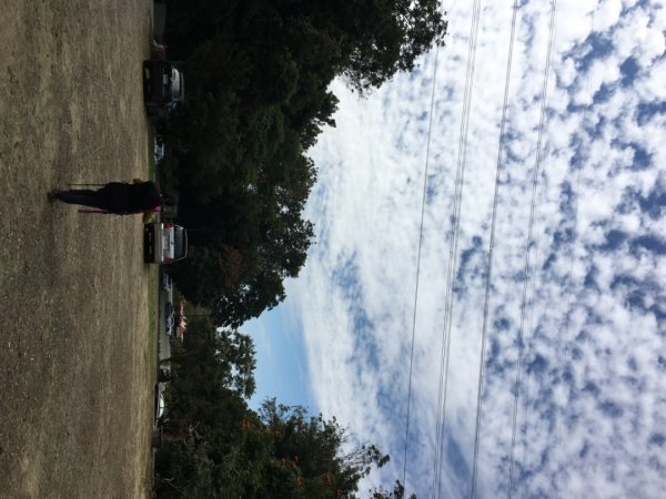 中興林場後山（鑰匙🔑認領2700420