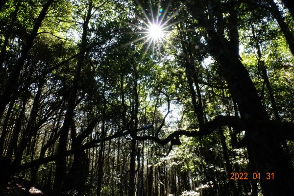 臺中 和平 稍來山1597390