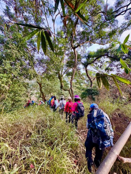 荷苞山登山步道走荷芭山小溪子山 午餐吃塔可飯幸福耶2996035