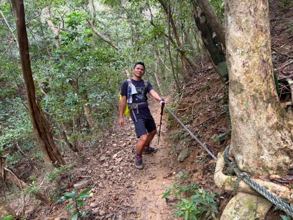 浸水營古道【因為熱門才能變得方便】3003180