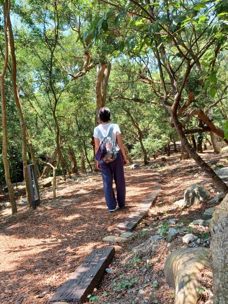 【台中大甲】規劃完善的親民步道。 桂花泉登山步道2862451
