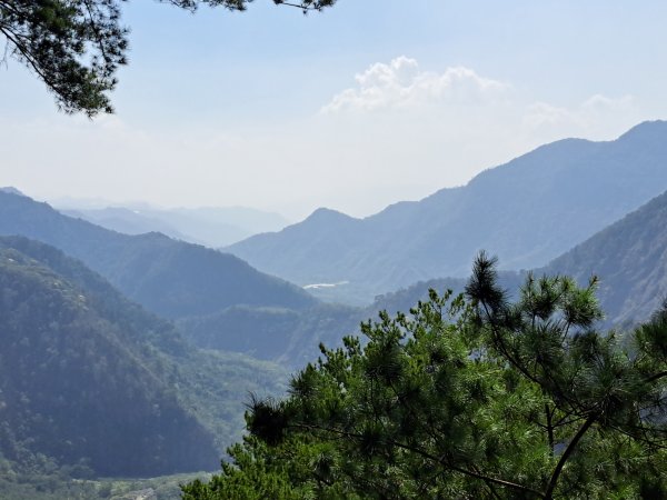 小出山(惠蓀林場上)202304162118353