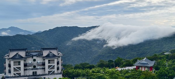 #雲瀑 #藍腹鷴 8/113101500