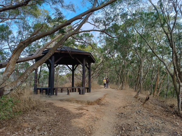 大肚環保公園登山步道(北段)2443507