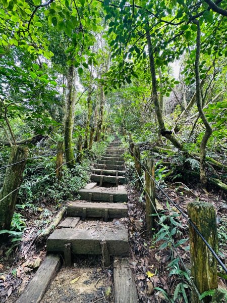 關仔嶺大凍山2845814