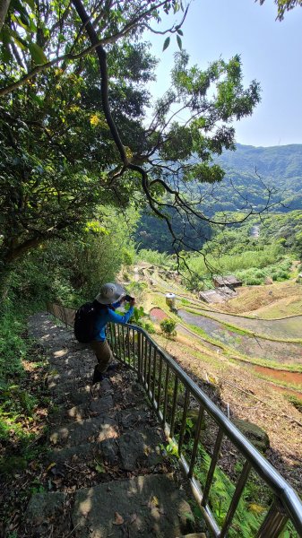 2022-0406 大崎頭步道_瑪礁古道_2號碉堡_內雙溪古道山路_北五指山_高頂山_荷蘭古道1665061