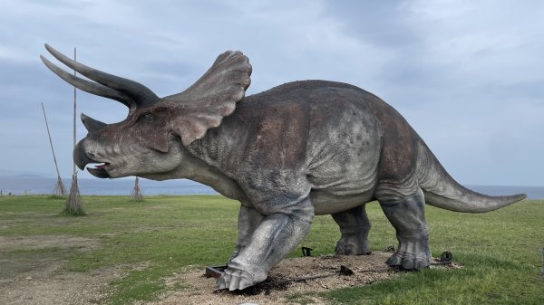 基隆的十八傘人家族2782868