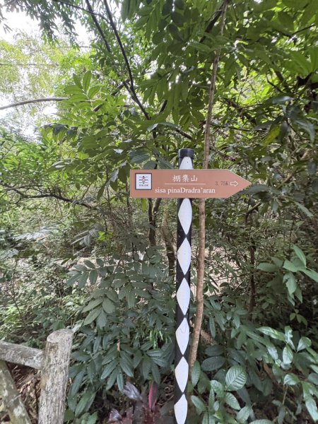 20251109棚集山步道2935228