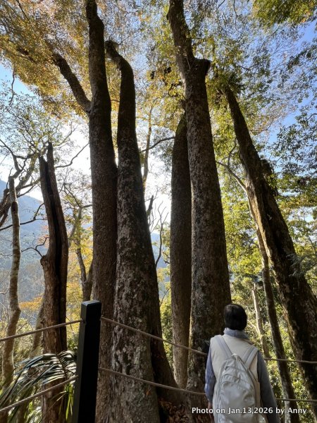 雪山坑步道（巨人之手）2986484