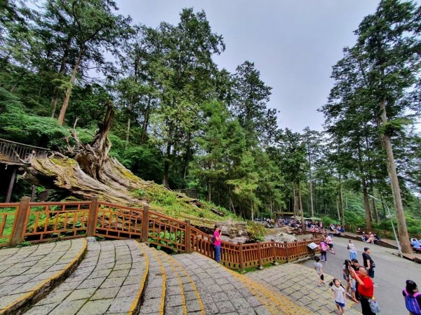 台中八仙山森林遊樂區，天籟步道，白鹿吊橋，南觀音山，溪頭森林遊樂區，妖怪村，猴探井天空之橋1858605