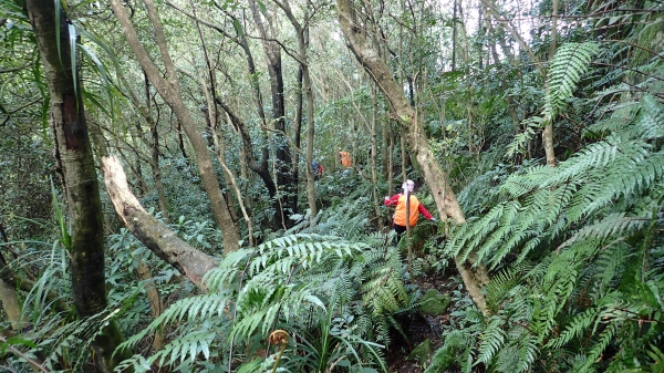 北部三大縱走之界寮大縱走50174