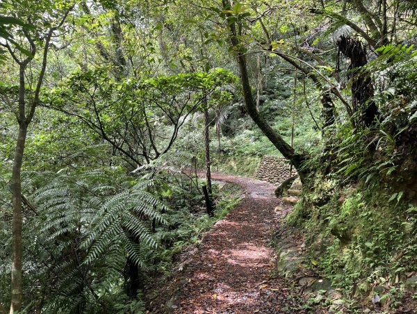 [微笑山線_第十二段] 2025_0803 五分山系_望古瀑布2851551