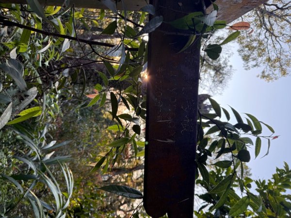 坪林五山縱走 ：九芎根山、金紙崙山、鳥嘴尖山、倒稍楠山、紀州寮山O形2745296