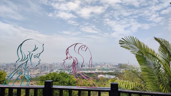 大坑9上9-1下3031309