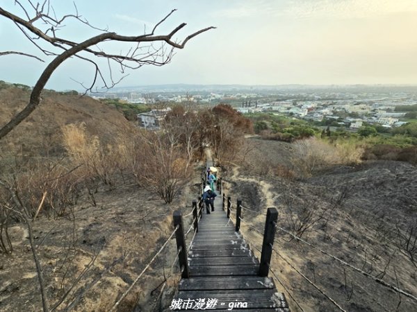 【台中烏日】知高圳步道x雪蓮步道x學田山3027129