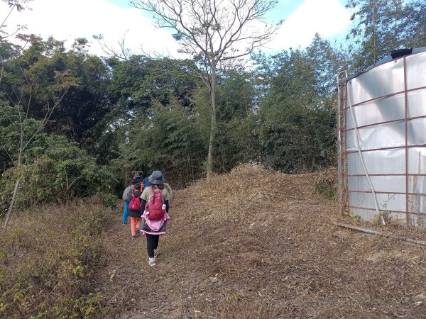 穿霧隘勇線-中三鹿2991748