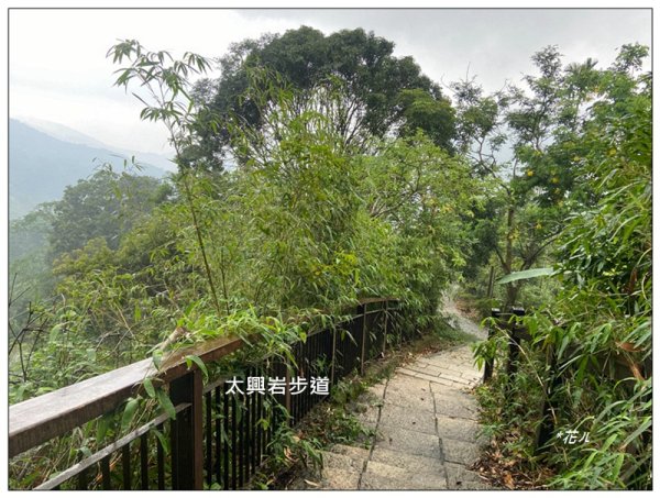 太興岩步道、萬鷺朝鳳、巧雲小棧 (嘉義 梅山)2886385