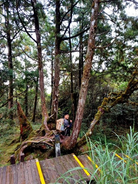 太平山森林遊樂區，檜木原始林步道，九寮溪自然步道，戈霸瀑布，開眼崙登山步道2011372